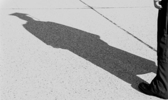 A shadow on a sidewalk.