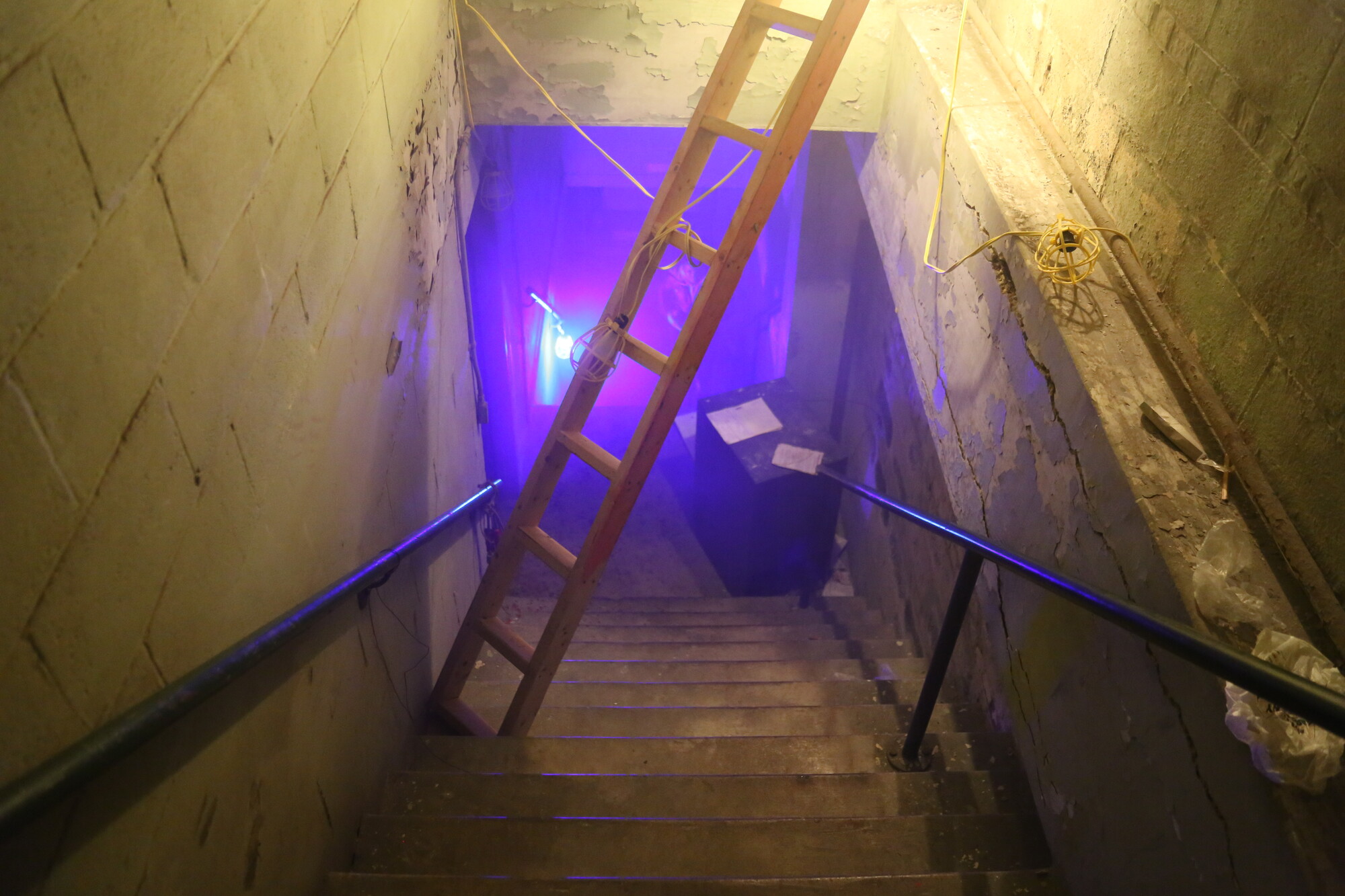 A photo facing down a flight of stairs with a large ladder blocking the way.